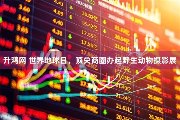 升鸿网 世界地球日，顶尖商圈办起野生动物摄影展