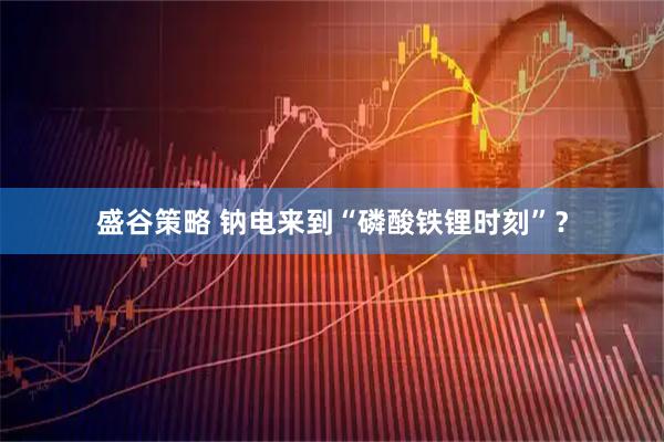 盛谷策略 钠电来到“磷酸铁锂时刻”？