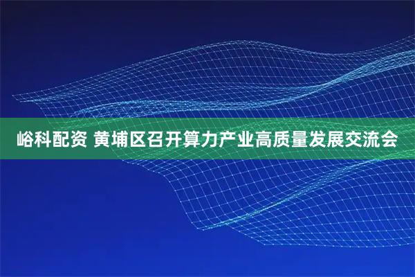 峪科配资 黄埔区召开算力产业高质量发展交流会